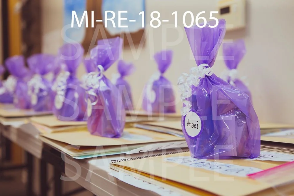 MI-RE-18-1065.jpg