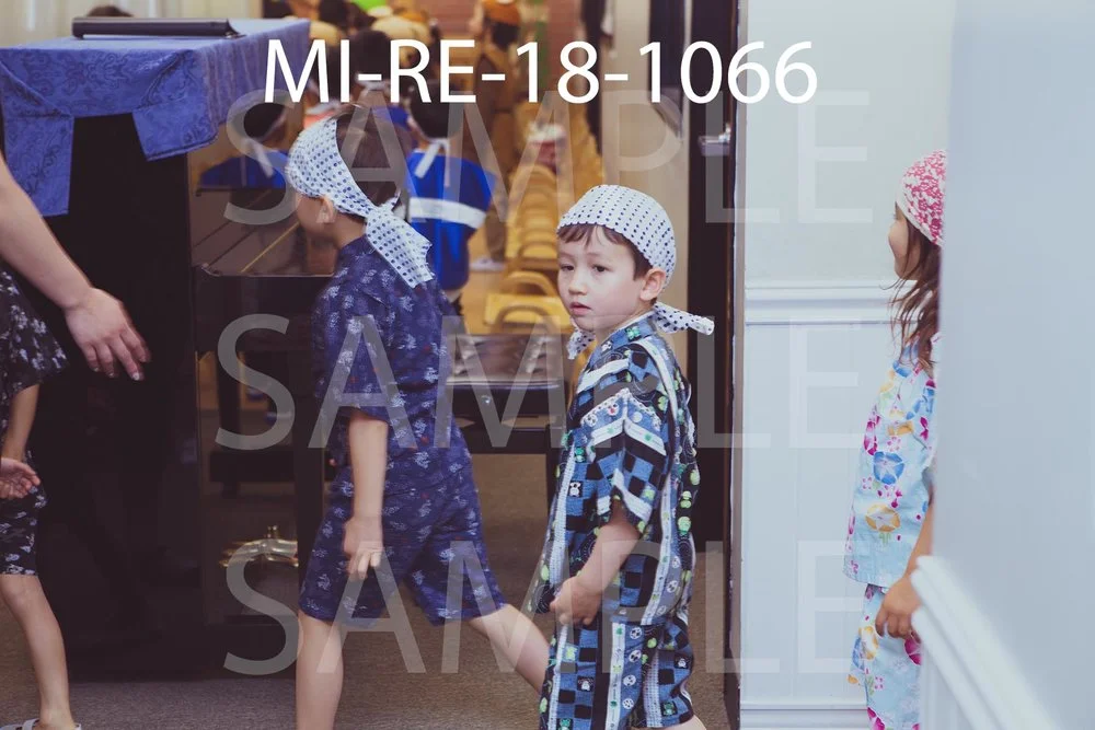 MI-RE-18-1066.jpg