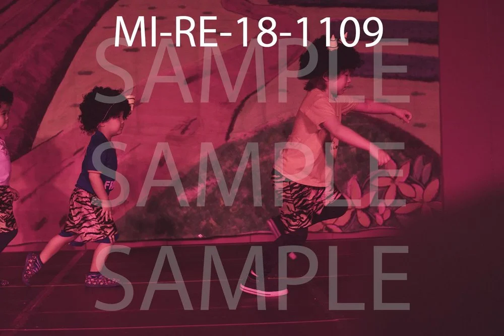 MI-RE-18-1109.jpg