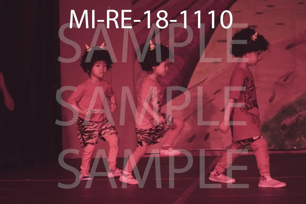 MI-RE-18-1110.jpg