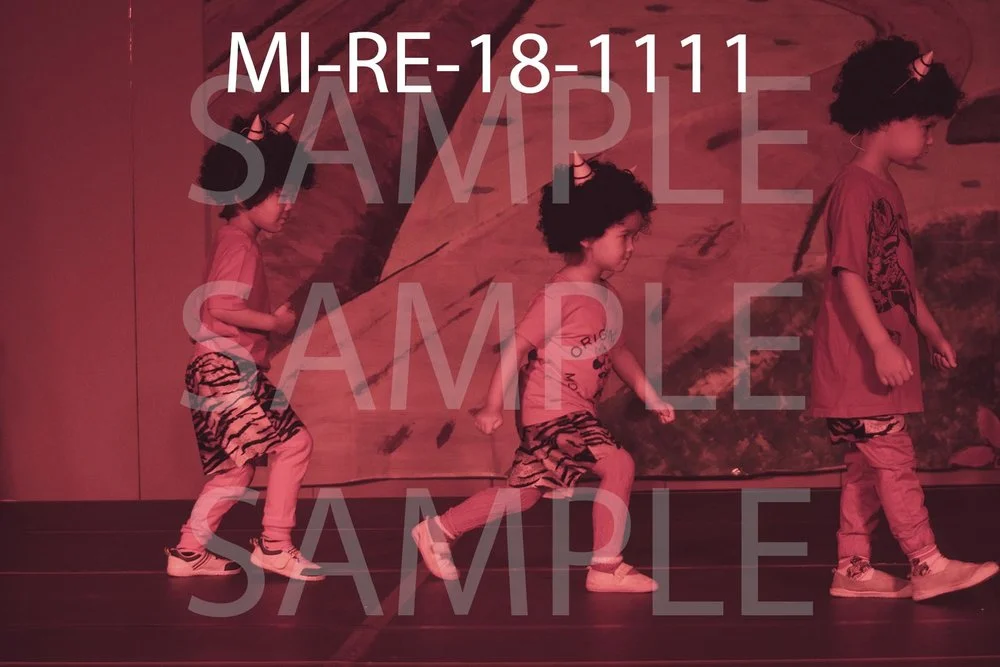 MI-RE-18-1111.jpg