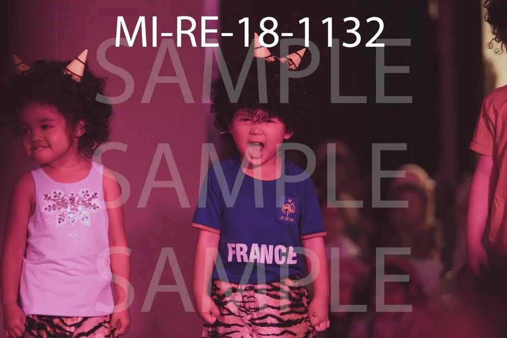 MI-RE-18-1132.jpg