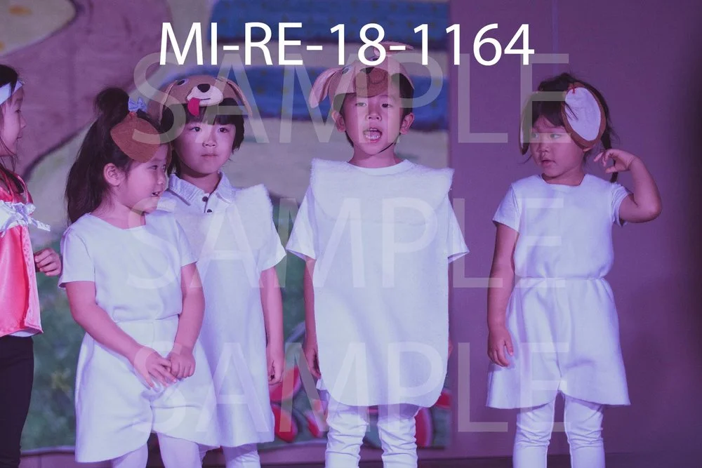 MI-RE-18-1164.jpg