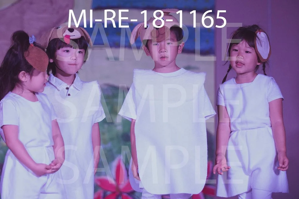MI-RE-18-1165.jpg