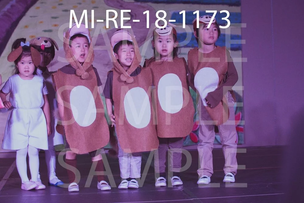 MI-RE-18-1173.jpg