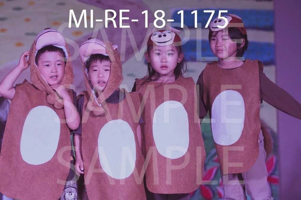 MI-RE-18-1175.jpg