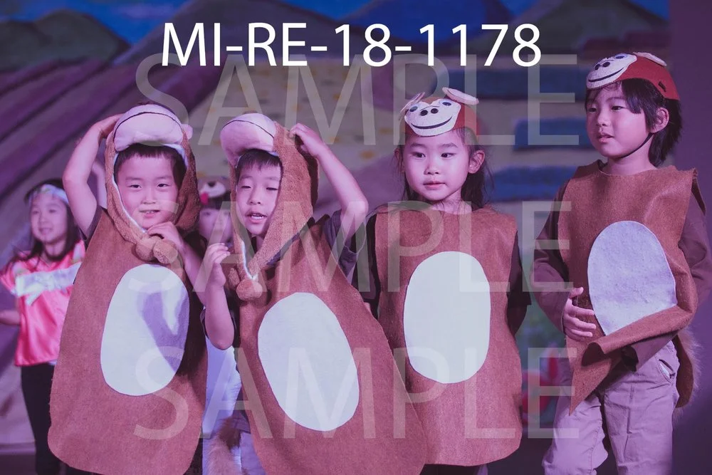 MI-RE-18-1178.jpg