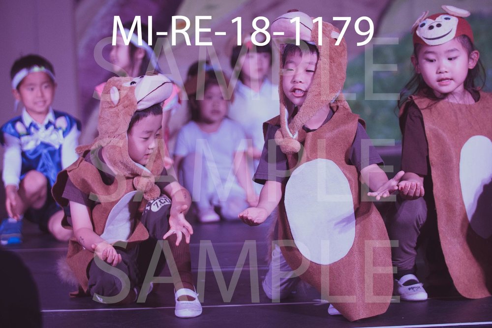 MI-RE-18-1179.jpg