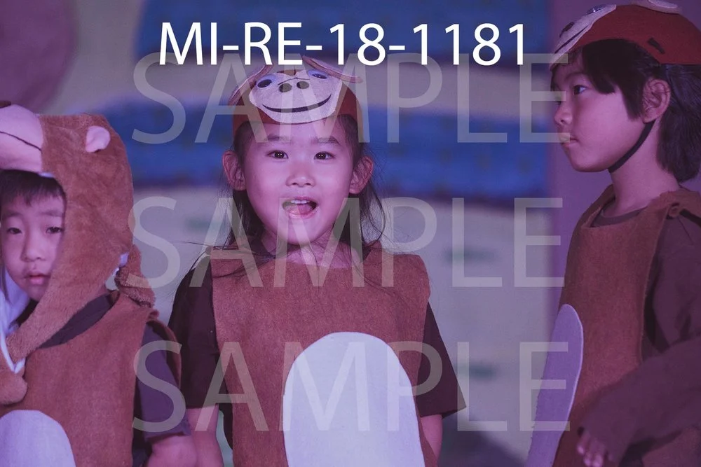 MI-RE-18-1181.jpg