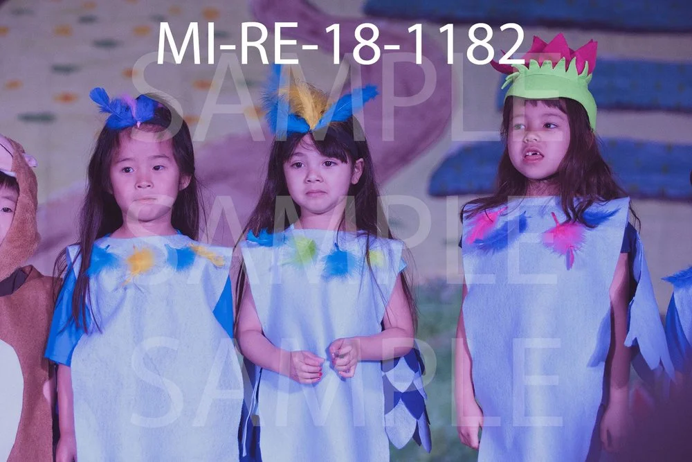 MI-RE-18-1182.jpg