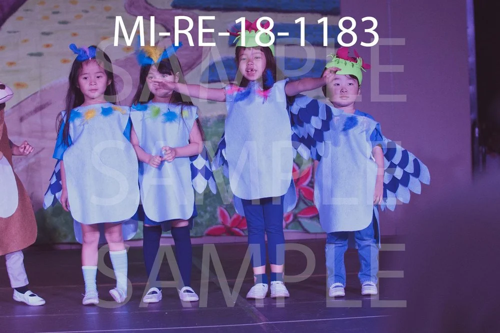 MI-RE-18-1183.jpg