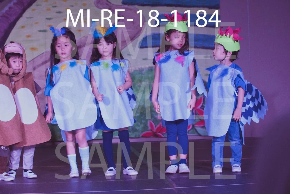 MI-RE-18-1184.jpg