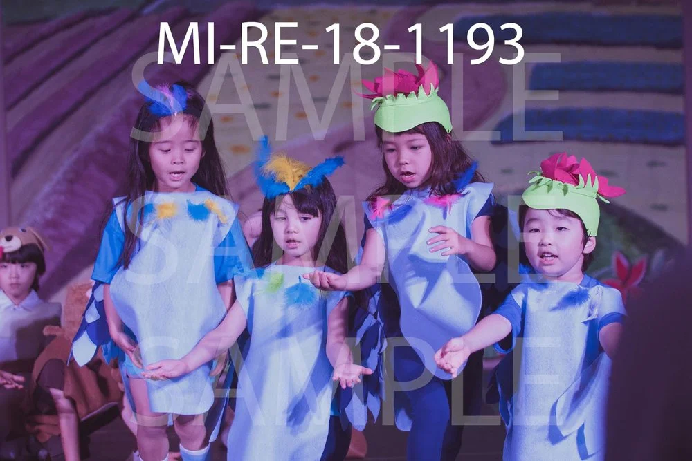 MI-RE-18-1193.jpg