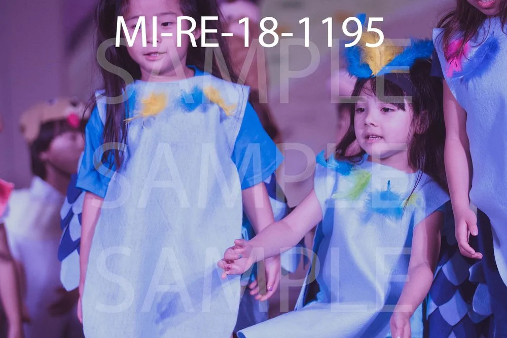 MI-RE-18-1195.jpg