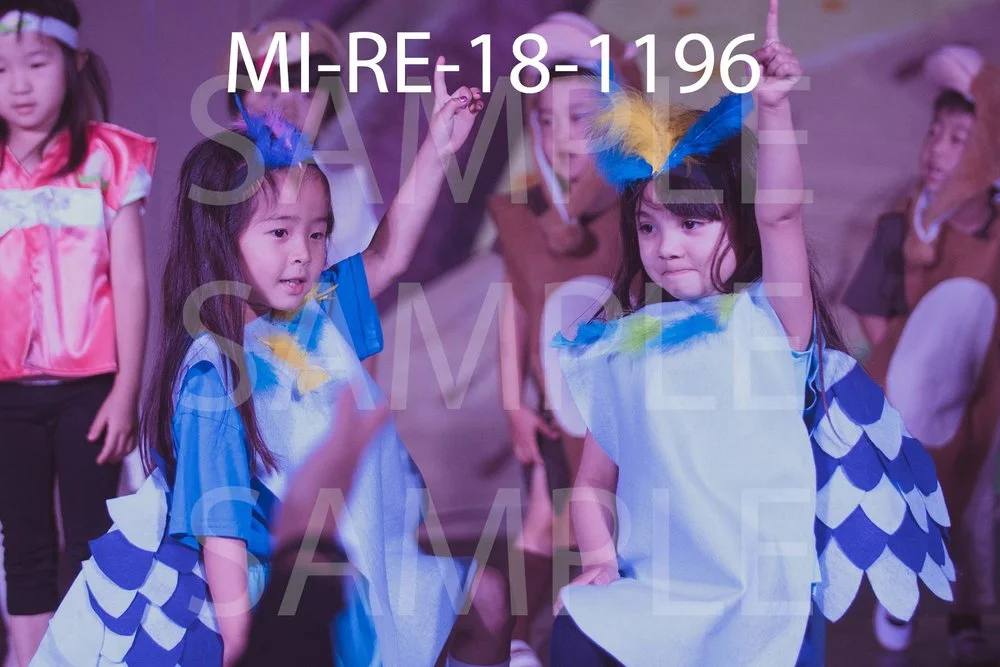 MI-RE-18-1196.jpg