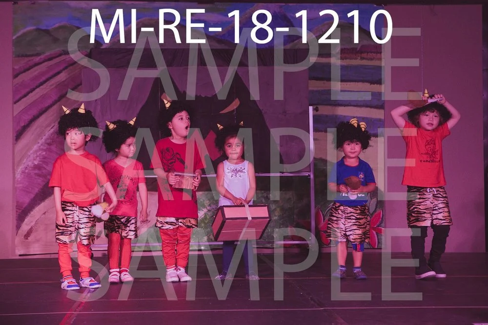 MI-RE-18-1210.jpg