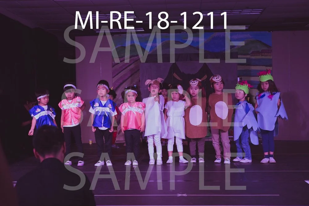 MI-RE-18-1211.jpg