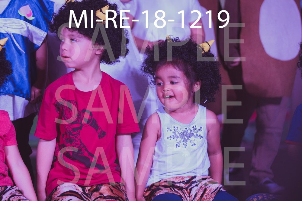 MI-RE-18-1219.jpg
