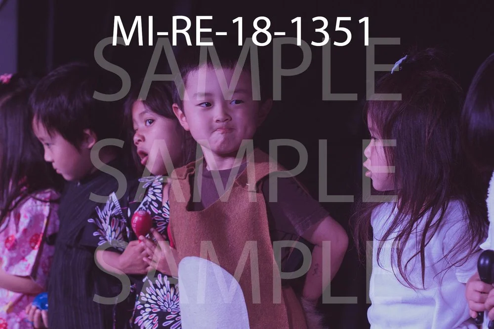 MI-RE-18-1351.jpg