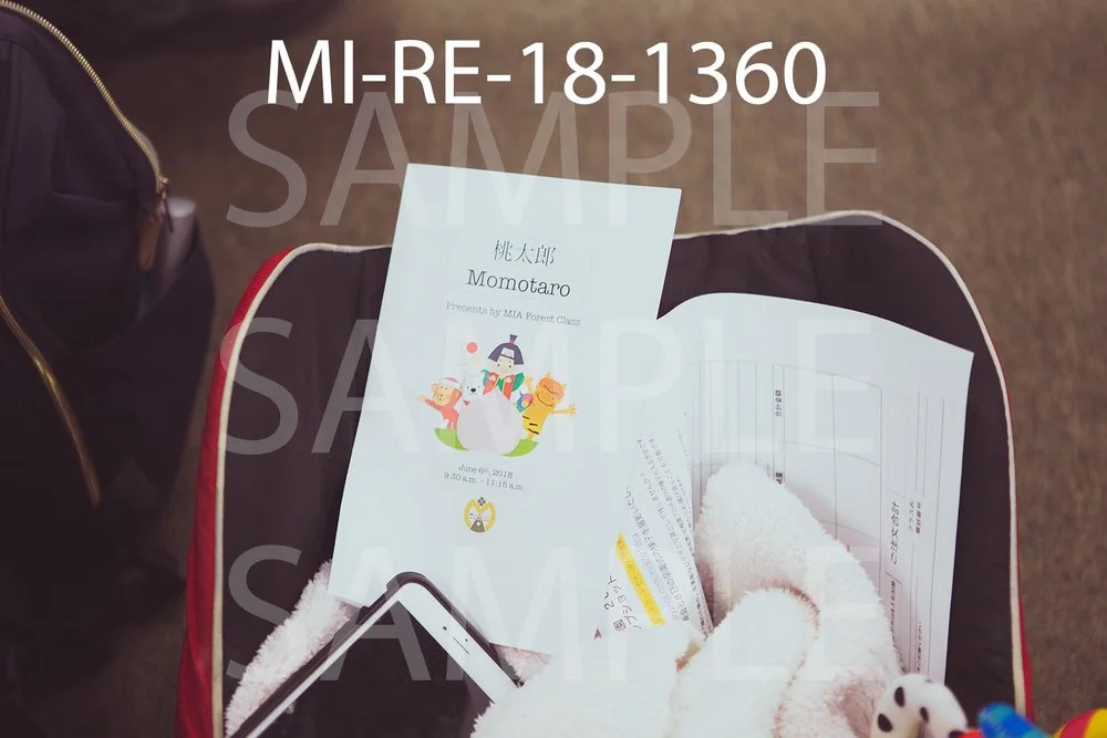 MI-RE-18-1360.jpg