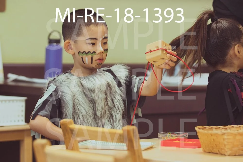 MI-RE-18-1393.jpg