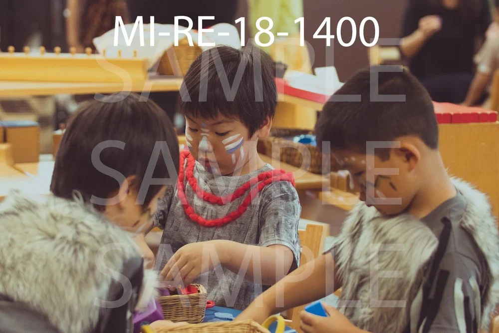 MI-RE-18-1400.jpg