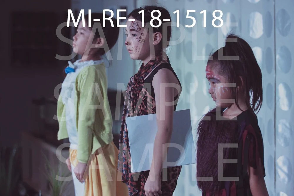 MI-RE-18-1518.jpg