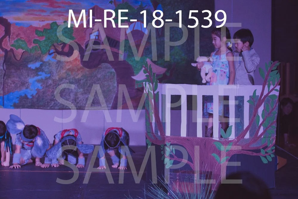 MI-RE-18-1539.jpg