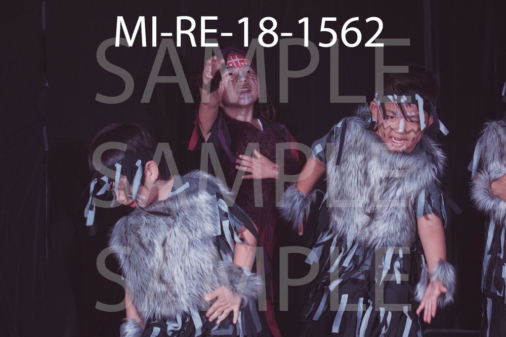 MI-RE-18-1562.jpg
