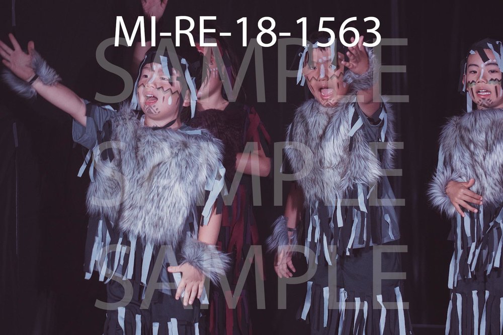 MI-RE-18-1563.jpg