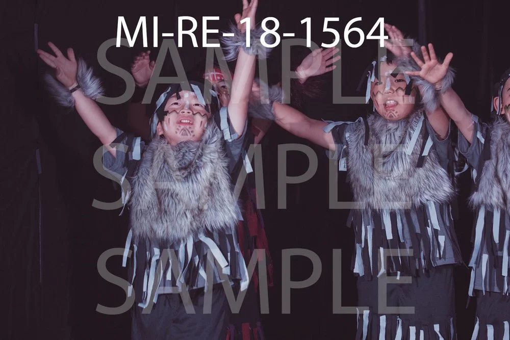 MI-RE-18-1564.jpg