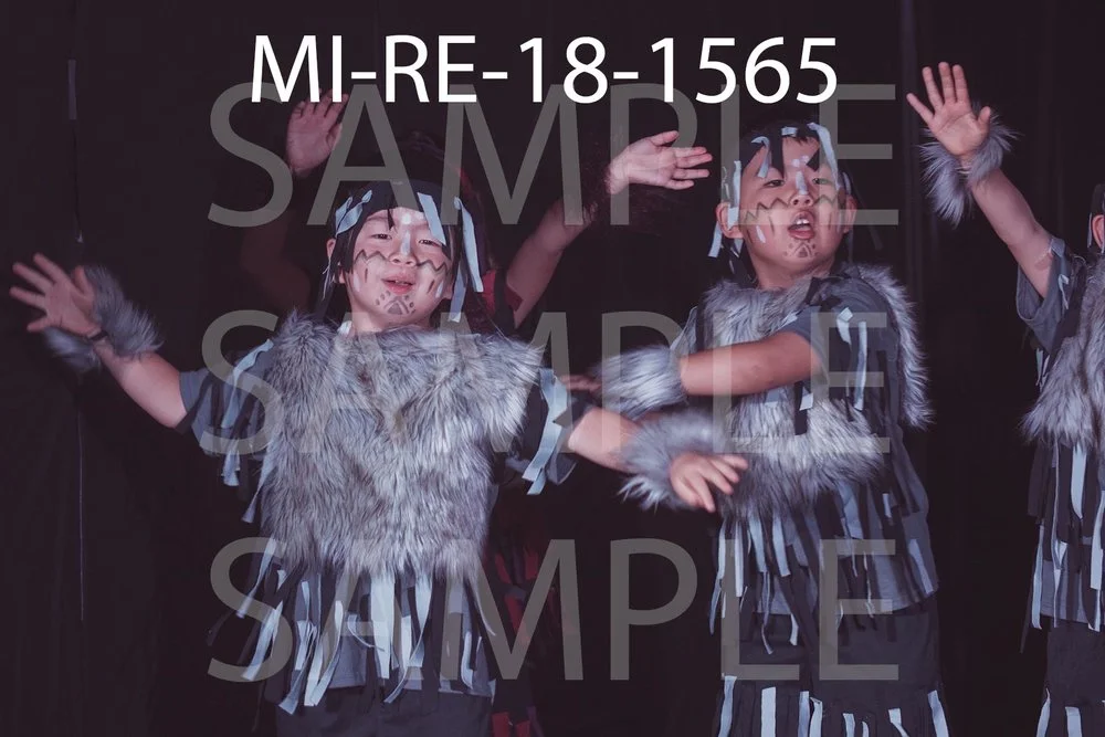 MI-RE-18-1565.jpg