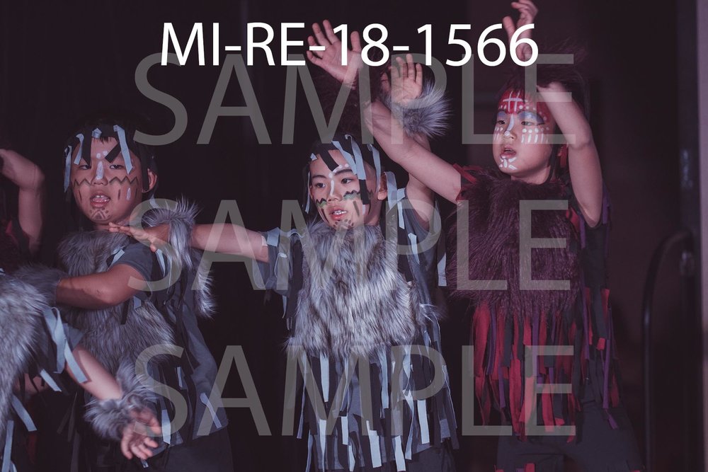 MI-RE-18-1566.jpg