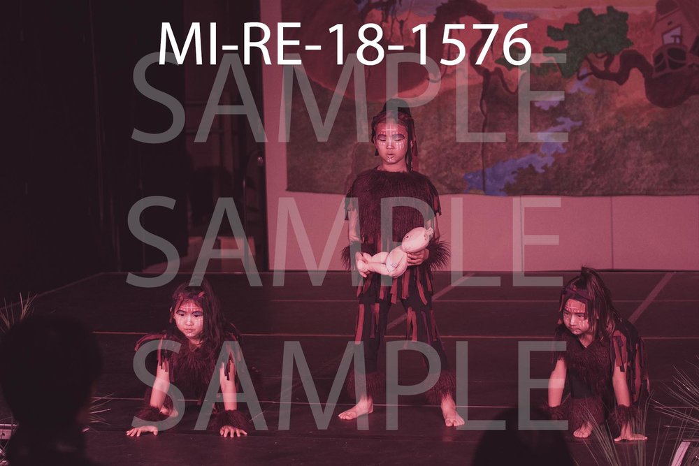 MI-RE-18-1576.jpg