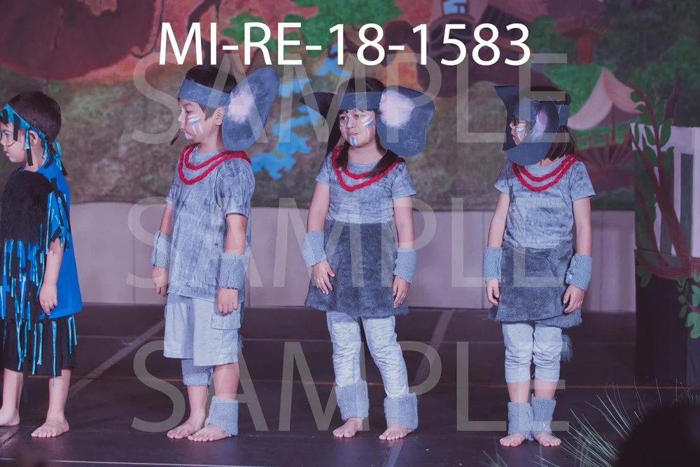 MI-RE-18-1583.jpg
