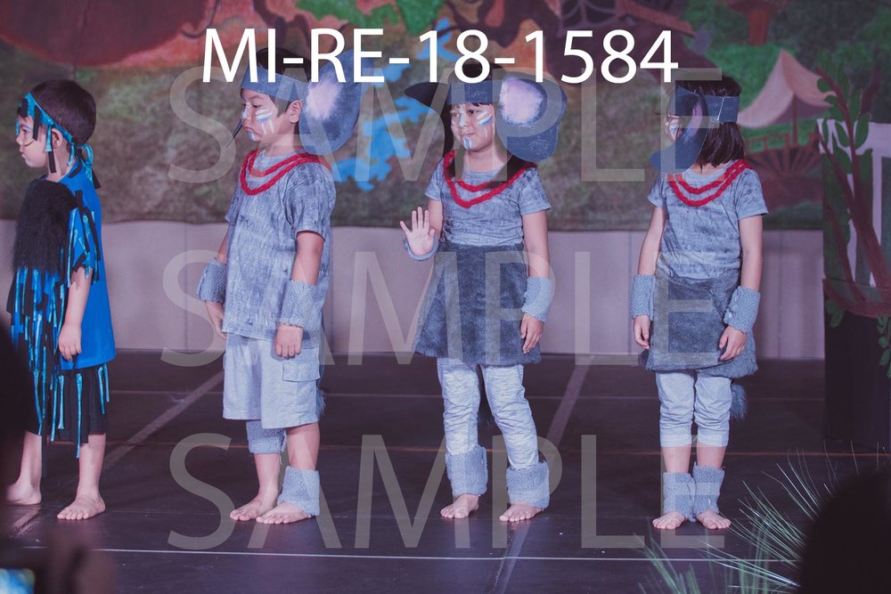 MI-RE-18-1584.jpg