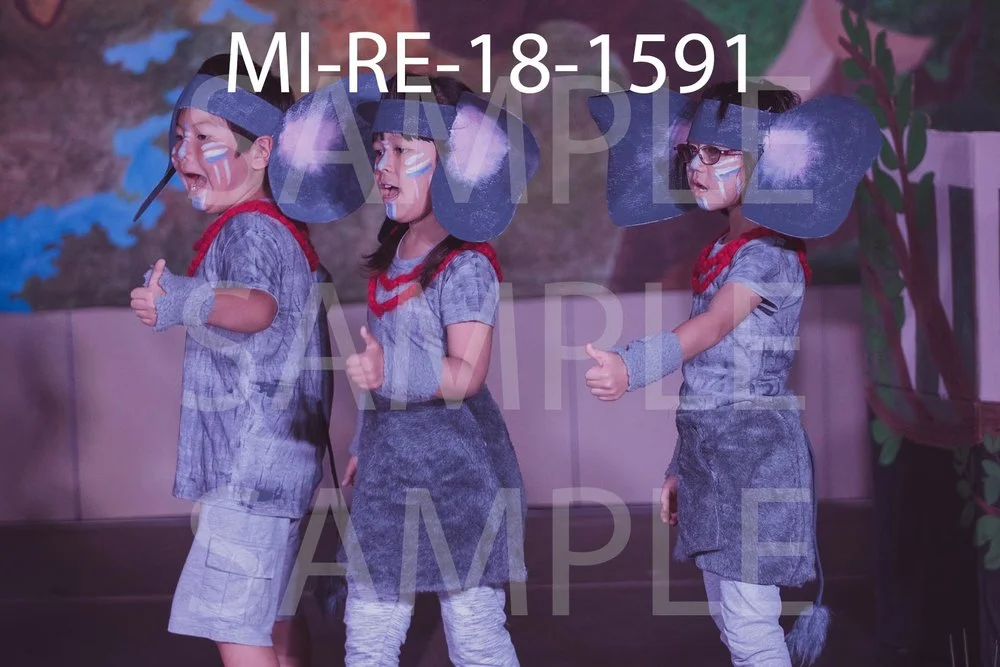 MI-RE-18-1591.jpg
