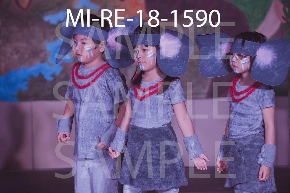 MI-RE-18-1590.jpg