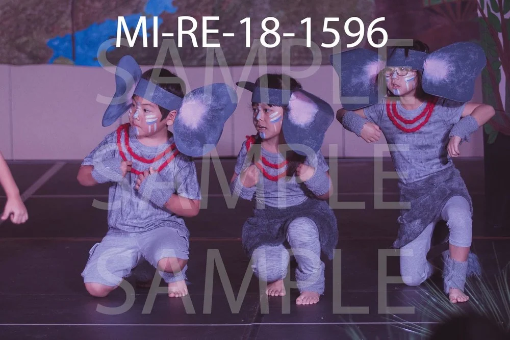 MI-RE-18-1596.jpg