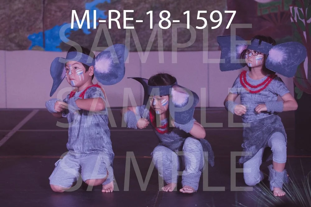MI-RE-18-1597.jpg