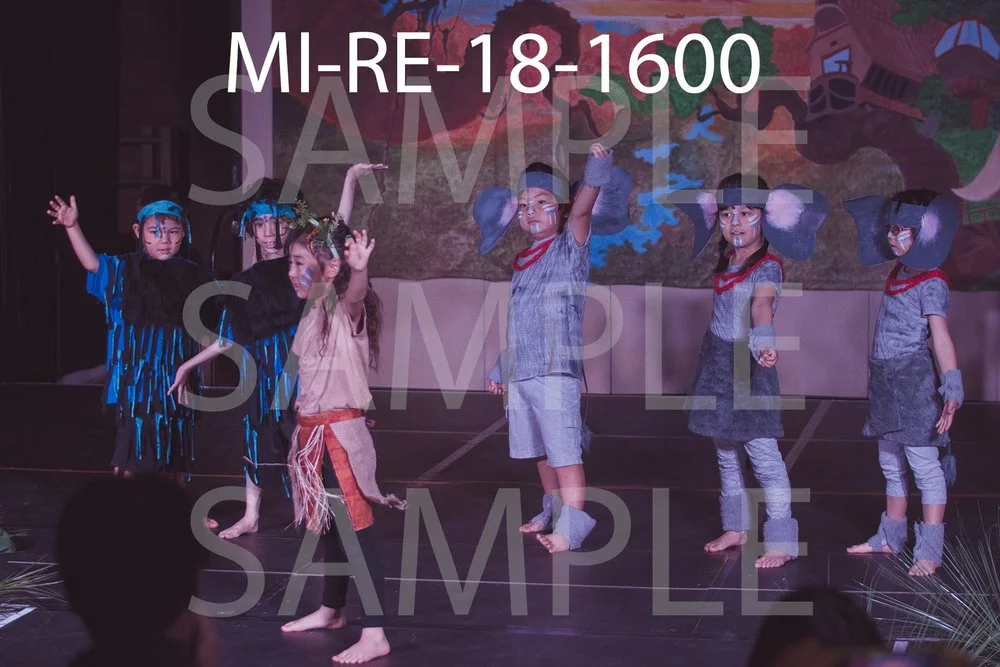 MI-RE-18-1600.jpg