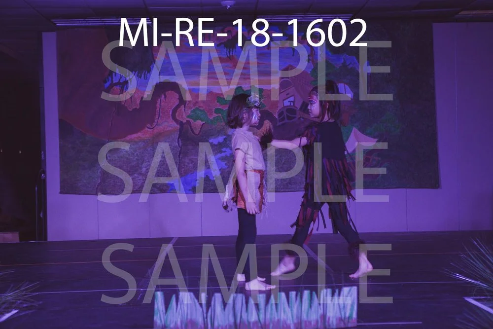MI-RE-18-1602.jpg