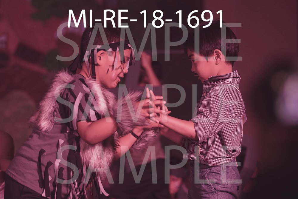 MI-RE-18-1691.jpg