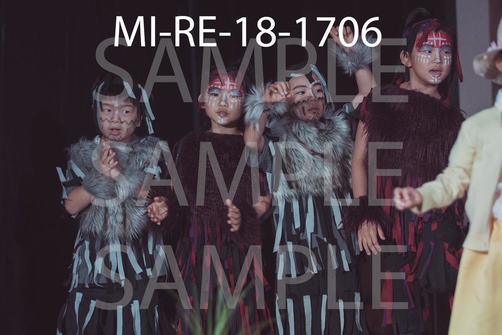 MI-RE-18-1706.jpg