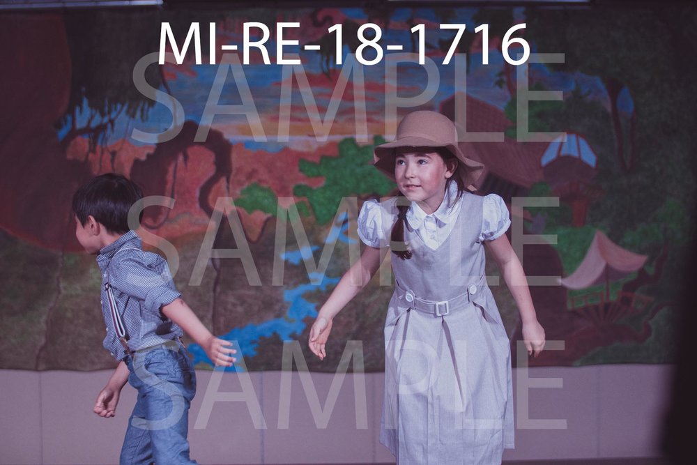 MI-RE-18-1716.jpg