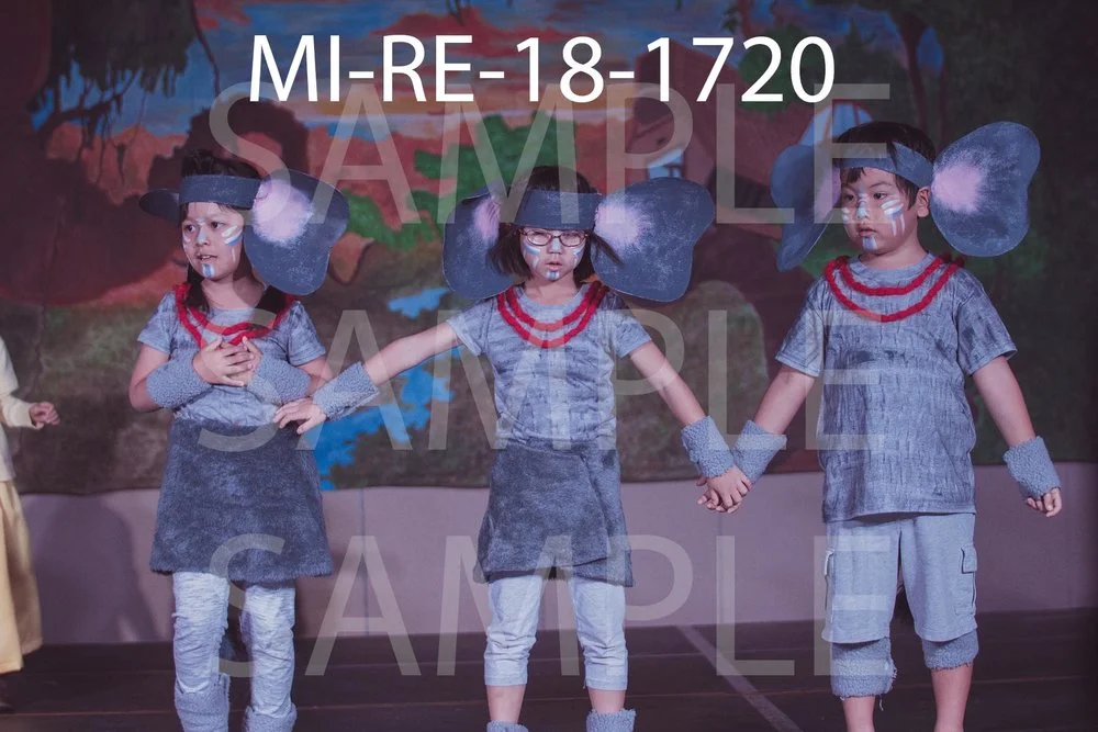 MI-RE-18-1720.jpg