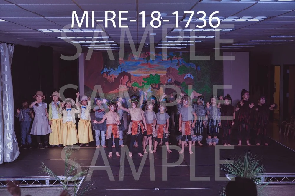 MI-RE-18-1736.jpg