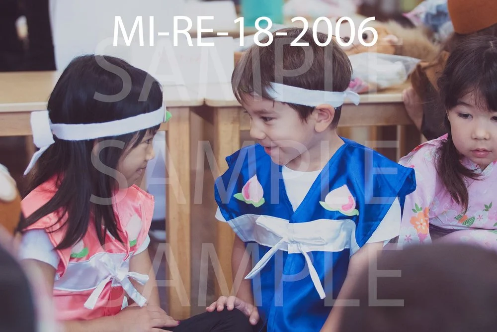 MI-RE-18-2006.jpg