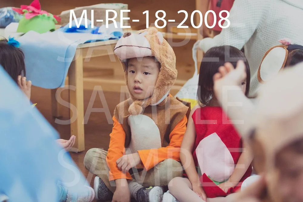 MI-RE-18-2008.jpg