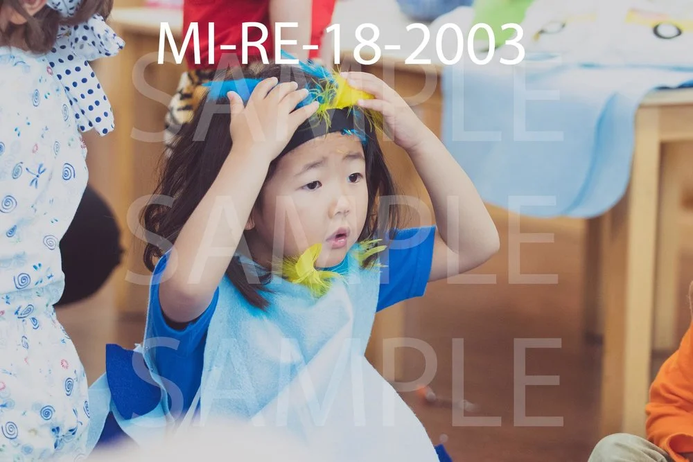 MI-RE-18-2003.jpg
